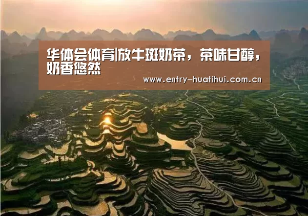 华体会体育|放牛斑奶茶,茶味甘醇,奶香悠然(图3) 华体会