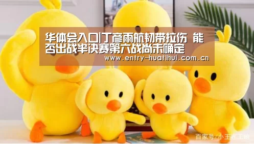 华体会体育