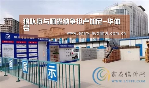 狼队将与阿森纳争抢卢加尼-华体会
